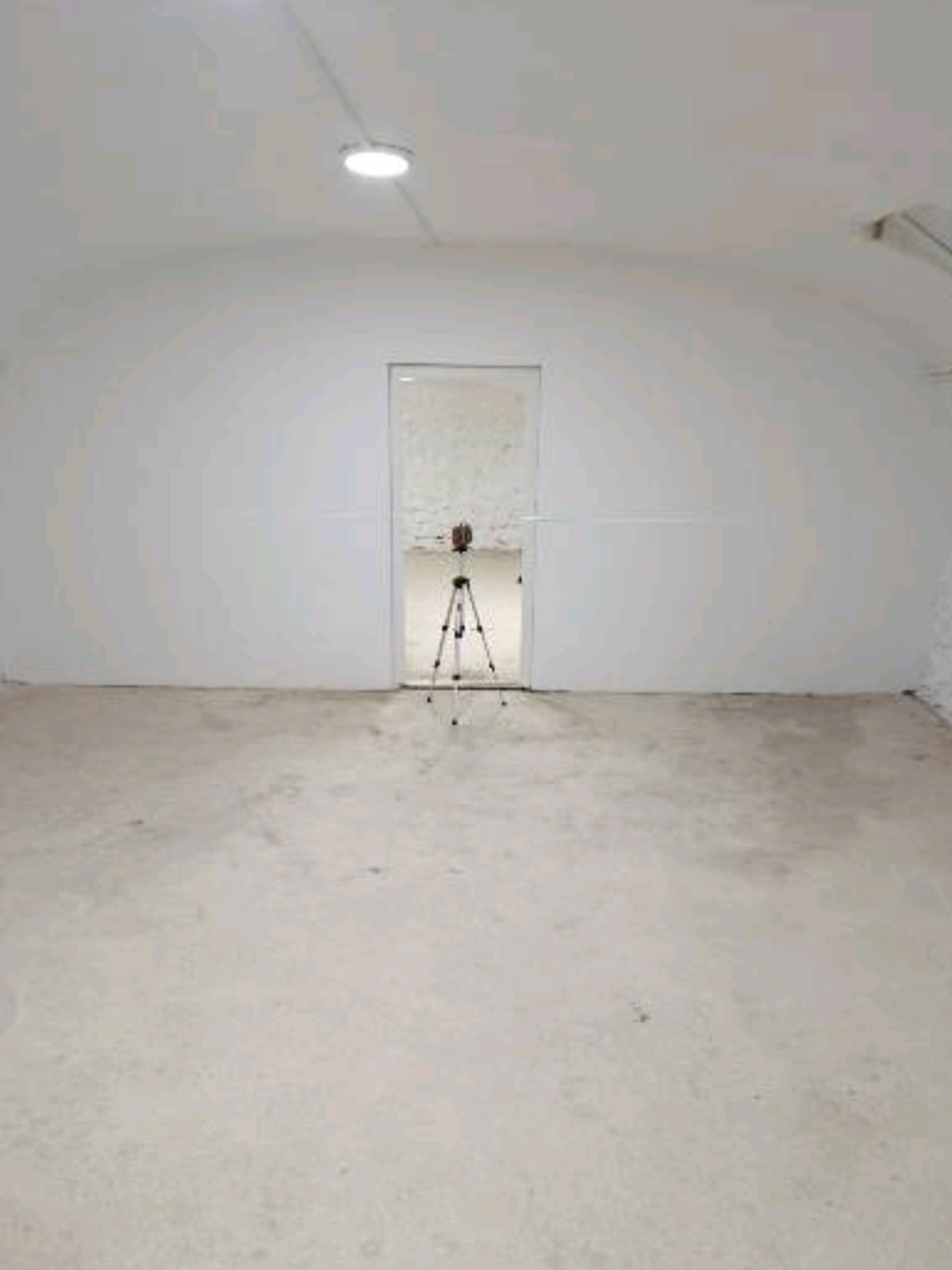 1241
